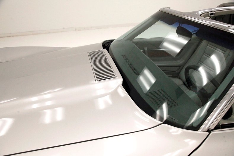 Chevrolet-Corvette-1976-Silver-Metallic-Smoke-Gray-6