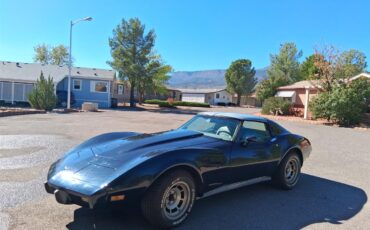 Chevrolet-Corvette-1977-Black-Beige-1