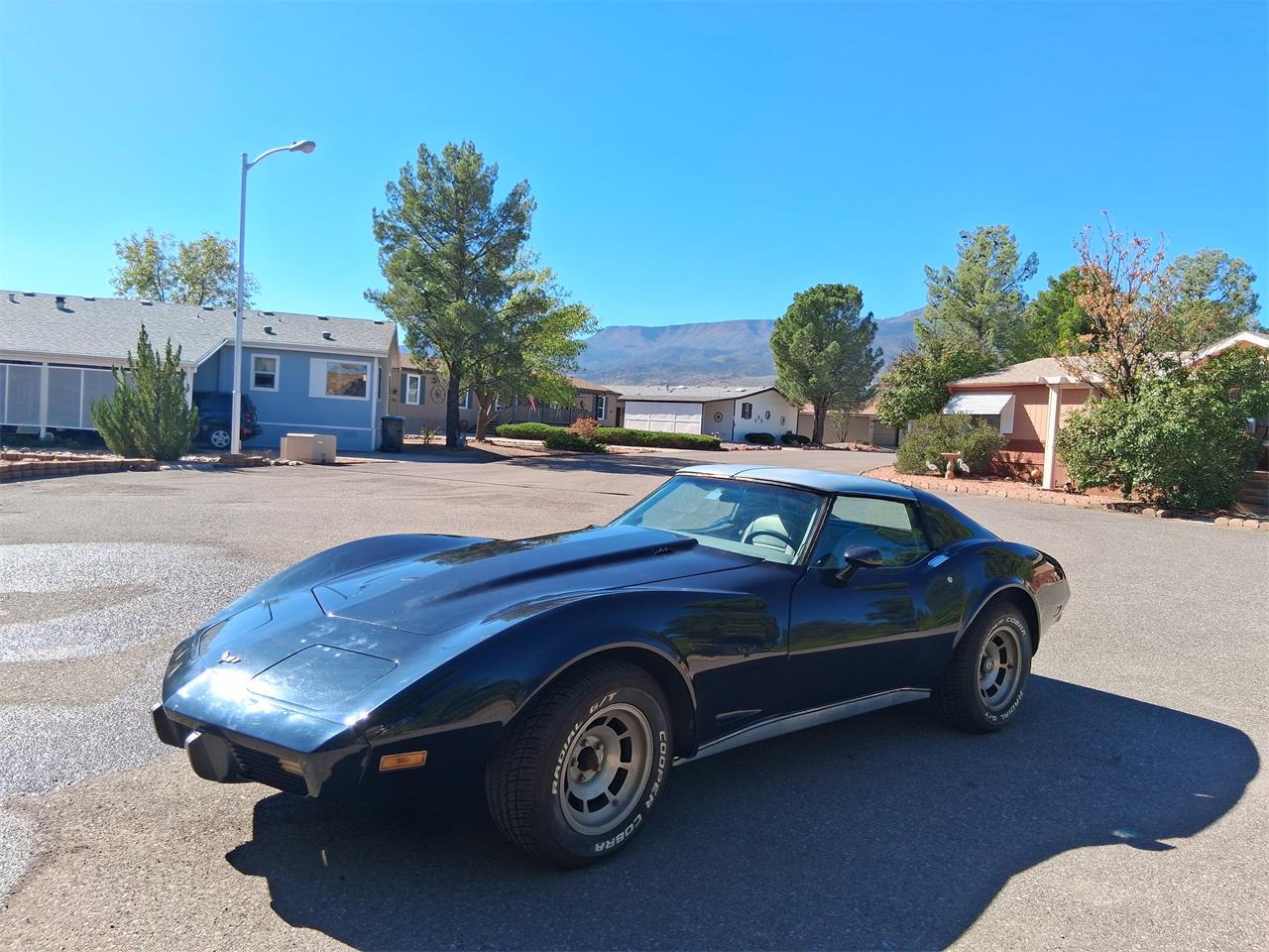Chevrolet-Corvette-1977-Black-Beige-1