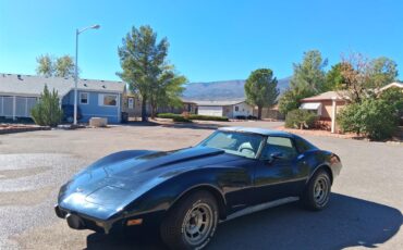 Chevrolet-Corvette-1977-Black-Beige