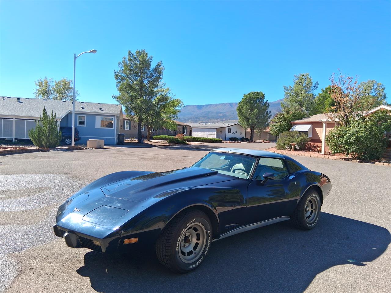 Chevrolet-Corvette-1977-Black-Beige