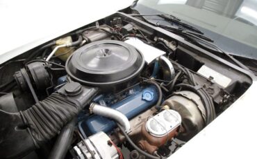 Chevrolet-Corvette-1977-Classic-White-Dark-Brown-12