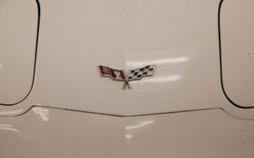 Chevrolet-Corvette-1977-Classic-White-Dark-Brown-14