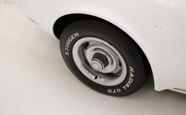 Chevrolet-Corvette-1977-Classic-White-Dark-Brown-18