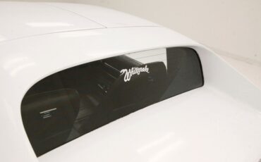 Chevrolet-Corvette-1977-Classic-White-Dark-Brown-19