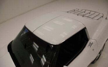 Chevrolet-Corvette-1977-Classic-White-Dark-Brown-3