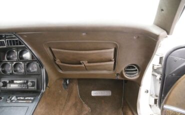 Chevrolet-Corvette-1977-Classic-White-Dark-Brown-31