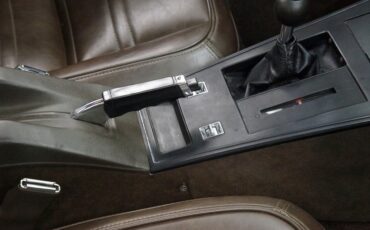 Chevrolet-Corvette-1977-Classic-White-Dark-Brown-33