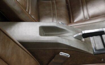 Chevrolet-Corvette-1977-Classic-White-Dark-Brown-34