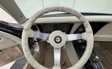 Chevrolet-Corvette-1978-Silver-Oyster-30