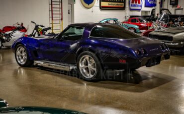 Chevrolet-Corvette-1979-Blue-Black-19