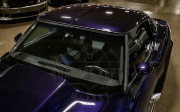 Chevrolet-Corvette-1979-Blue-Black-32