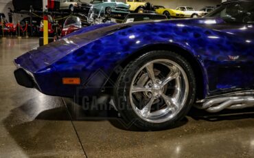 Chevrolet-Corvette-1979-Blue-Black-48