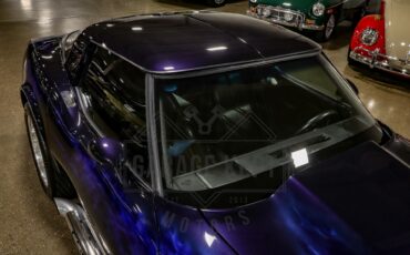 Chevrolet-Corvette-1979-Blue-Black-8