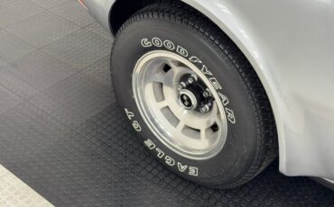 Chevrolet-Corvette-1979-Silver-Metallic-Medium-Red-14