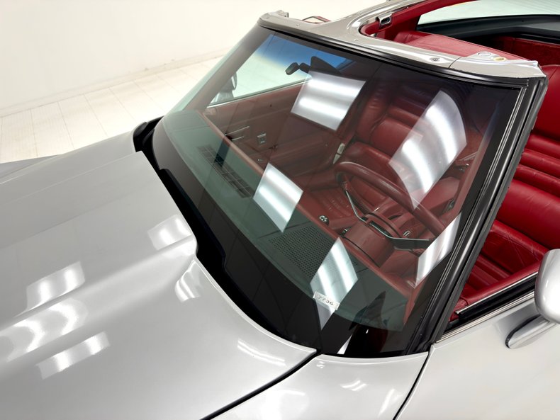 Chevrolet-Corvette-1979-Silver-Metallic-Medium-Red-16