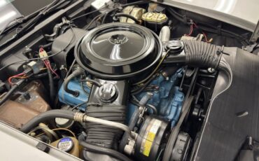 Chevrolet-Corvette-1979-Silver-Metallic-Medium-Red-23