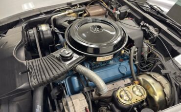 Chevrolet-Corvette-1979-Silver-Metallic-Medium-Red-24