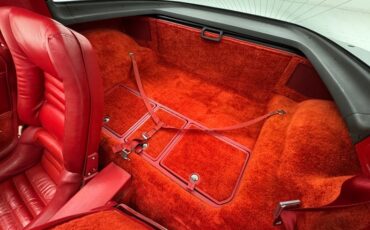 Chevrolet-Corvette-1979-Silver-Metallic-Medium-Red-28