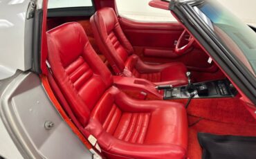 Chevrolet-Corvette-1979-Silver-Metallic-Medium-Red-29