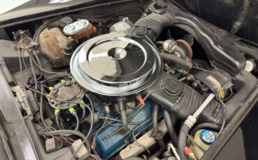 Chevrolet-Corvette-1980-Black-Oyster-32