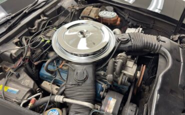 Chevrolet-Corvette-1980-Black-Oyster-33