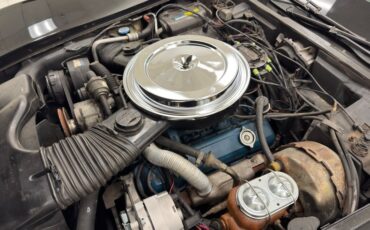 Chevrolet-Corvette-1980-Black-Oyster-34