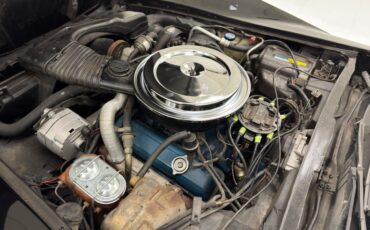 Chevrolet-Corvette-1980-Black-Oyster-35