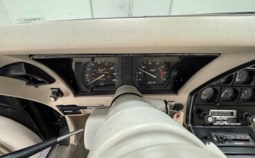 Chevrolet-Corvette-1980-Black-Oyster-6