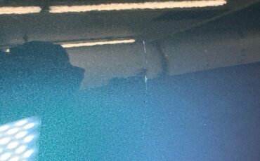 Chevrolet-Corvette-1980-Dark-Ivy-Green-Metal-Oyster-29