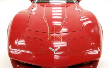Chevrolet-Corvette-1981-Red-Camel-16