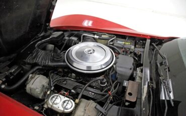 Chevrolet-Corvette-1981-Red-Camel-18