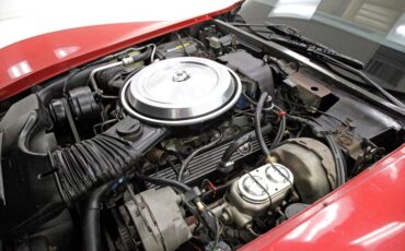 Chevrolet-Corvette-1981-Red-Camel-19