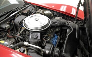 Chevrolet-Corvette-1981-Red-Camel-20