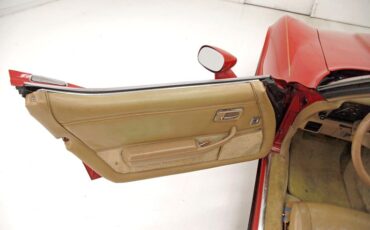 Chevrolet-Corvette-1981-Red-Camel-27