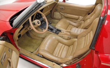 Chevrolet-Corvette-1981-Red-Camel-28