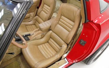 Chevrolet-Corvette-1981-Red-Camel-29
