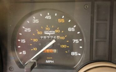 Chevrolet-Corvette-1981-Red-Camel-33