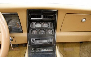 Chevrolet-Corvette-1981-Red-Camel-34