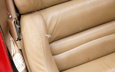 Chevrolet-Corvette-1981-Red-Camel-4