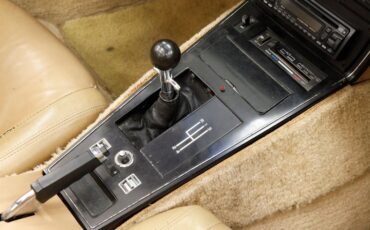 Chevrolet-Corvette-1981-Red-Camel-40