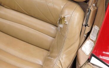 Chevrolet-Corvette-1981-Red-Camel-48