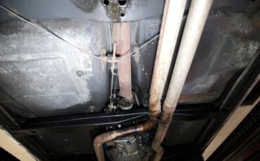 Chevrolet-Corvette-1981-Red-Camel-5