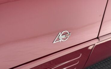 Chevrolet-Corvette-1993-Dark-Ruby-Metallic-Ruby-Red-10