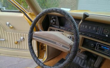 Chevrolet-El-camino-1971-Gold-Tan-Gold-Carpet-11