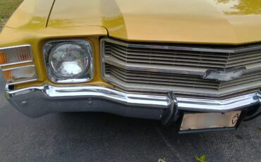 Chevrolet-El-camino-1971-Gold-Tan-Gold-Carpet-27