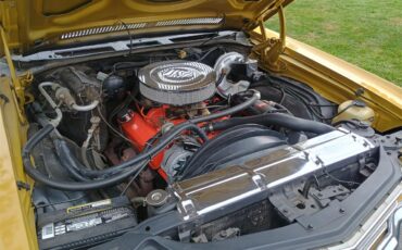 Chevrolet-El-camino-1971-Gold-Tan-Gold-Carpet-32