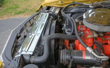 Chevrolet-El-camino-1971-Gold-Tan-Gold-Carpet-36