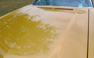 Chevrolet-El-camino-1971-Gold-Tan-Gold-Carpet-8