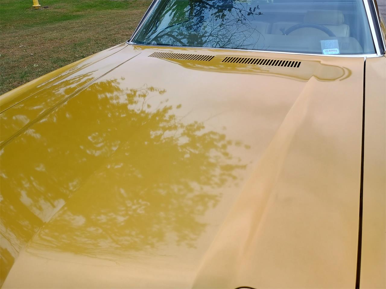 Chevrolet-El-camino-1971-Gold-Tan-Gold-Carpet-8
